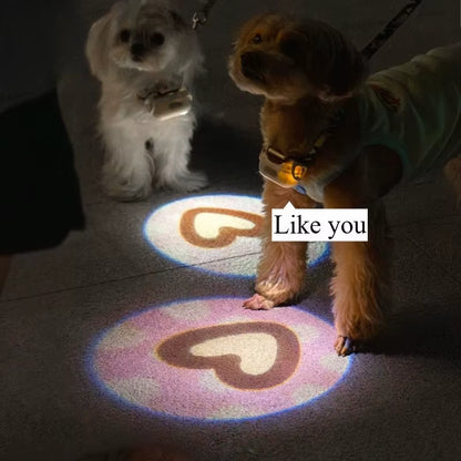 LumiPaw - LED Collar Projector & Night-Safety Light