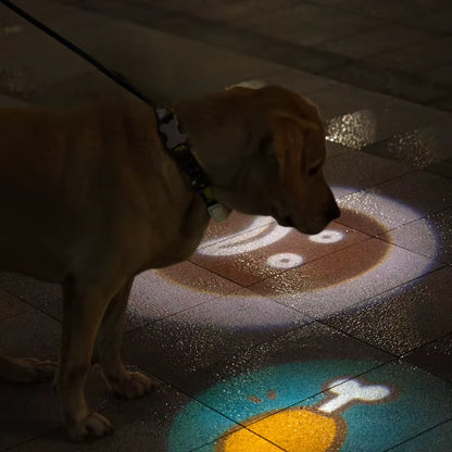 LumiPaw - LED Collar Projector & Night-Safety Light