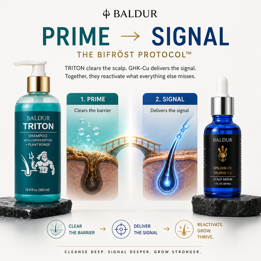 BALDUR - The Bifröst Protocol
