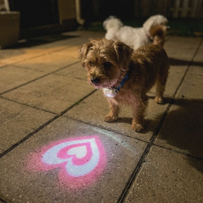 LumiPaw - LED Collar Projector & Night-Safety Light